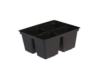 4 Cell Punnet