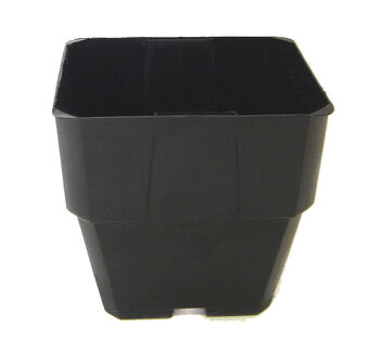 0.6L (4 inch) Maxi Pot Black