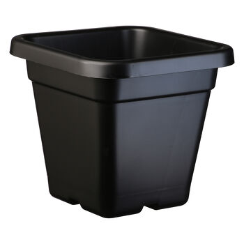 18L (32cm) Square Pot