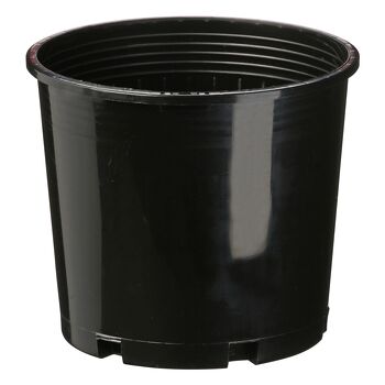 2.5L (15cm) Round Pot