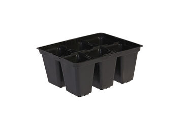 6 Cell Punnet