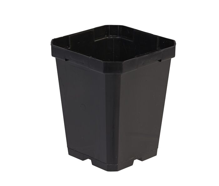 0.5L (9cm) Square Pot