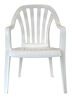 Fan Back Chair