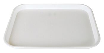 Sandwich Tray