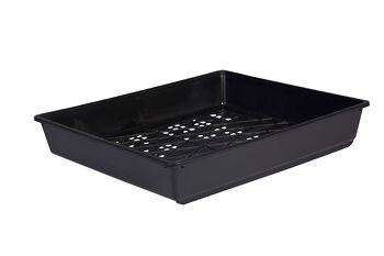 Standard Punnet Tray